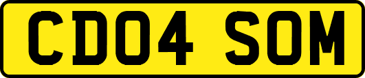 CD04SOM