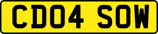 CD04SOW