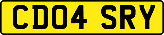 CD04SRY