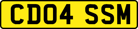 CD04SSM