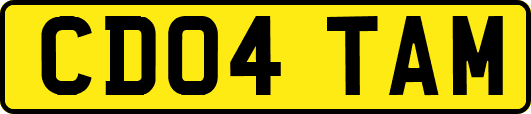 CD04TAM