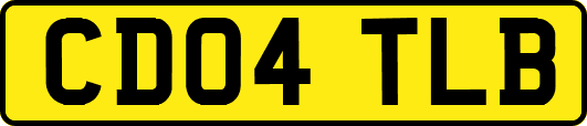 CD04TLB