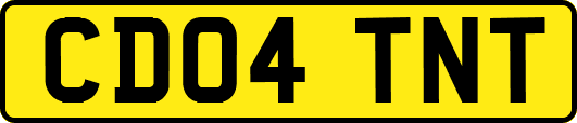 CD04TNT