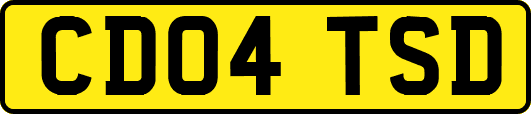 CD04TSD