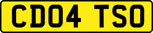 CD04TSO