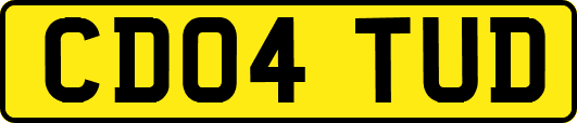 CD04TUD