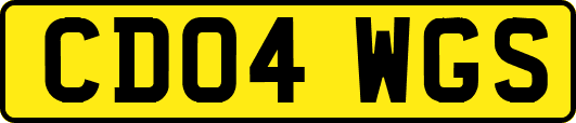 CD04WGS