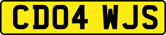 CD04WJS