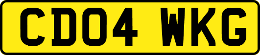 CD04WKG
