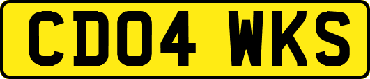 CD04WKS