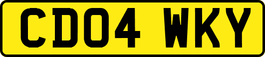 CD04WKY
