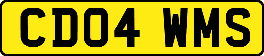 CD04WMS