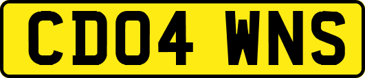 CD04WNS