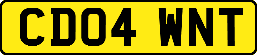 CD04WNT