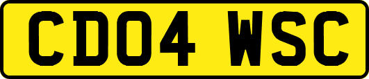 CD04WSC