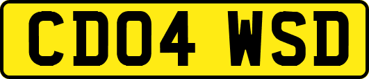 CD04WSD