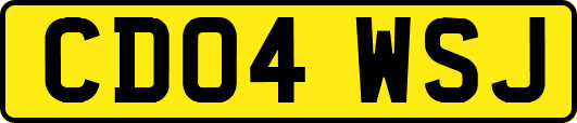 CD04WSJ