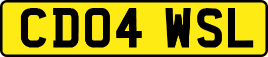 CD04WSL