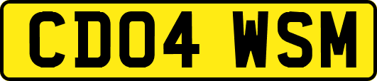 CD04WSM