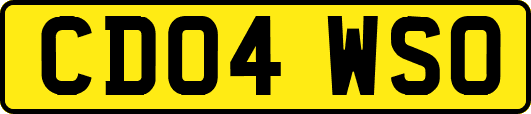 CD04WSO