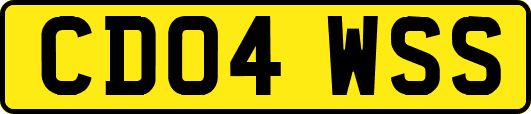 CD04WSS