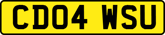 CD04WSU