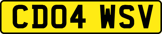 CD04WSV