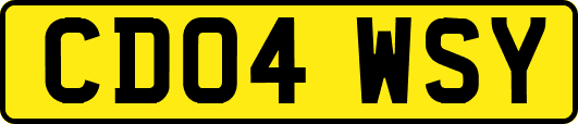 CD04WSY
