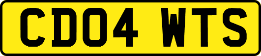 CD04WTS