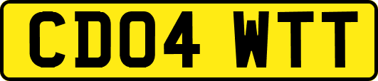 CD04WTT