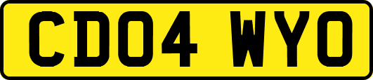 CD04WYO