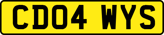 CD04WYS