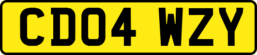 CD04WZY