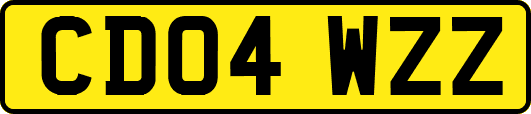 CD04WZZ