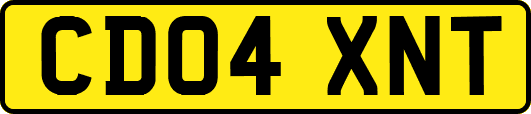 CD04XNT
