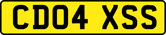 CD04XSS