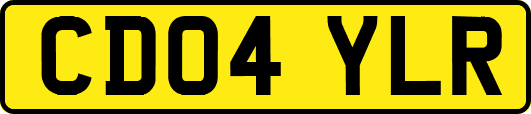 CD04YLR