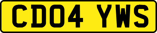 CD04YWS
