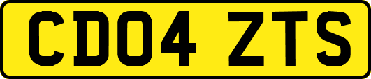 CD04ZTS