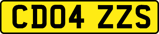 CD04ZZS