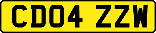CD04ZZW