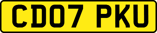 CD07PKU