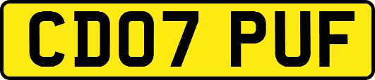 CD07PUF