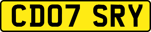 CD07SRY