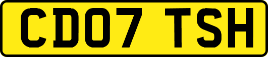 CD07TSH