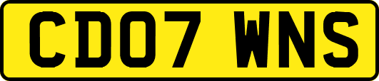 CD07WNS