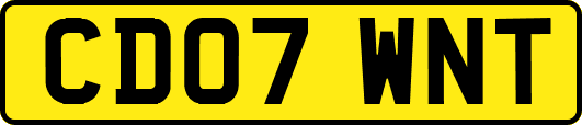 CD07WNT