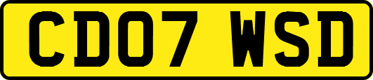 CD07WSD