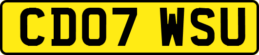 CD07WSU