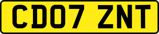 CD07ZNT